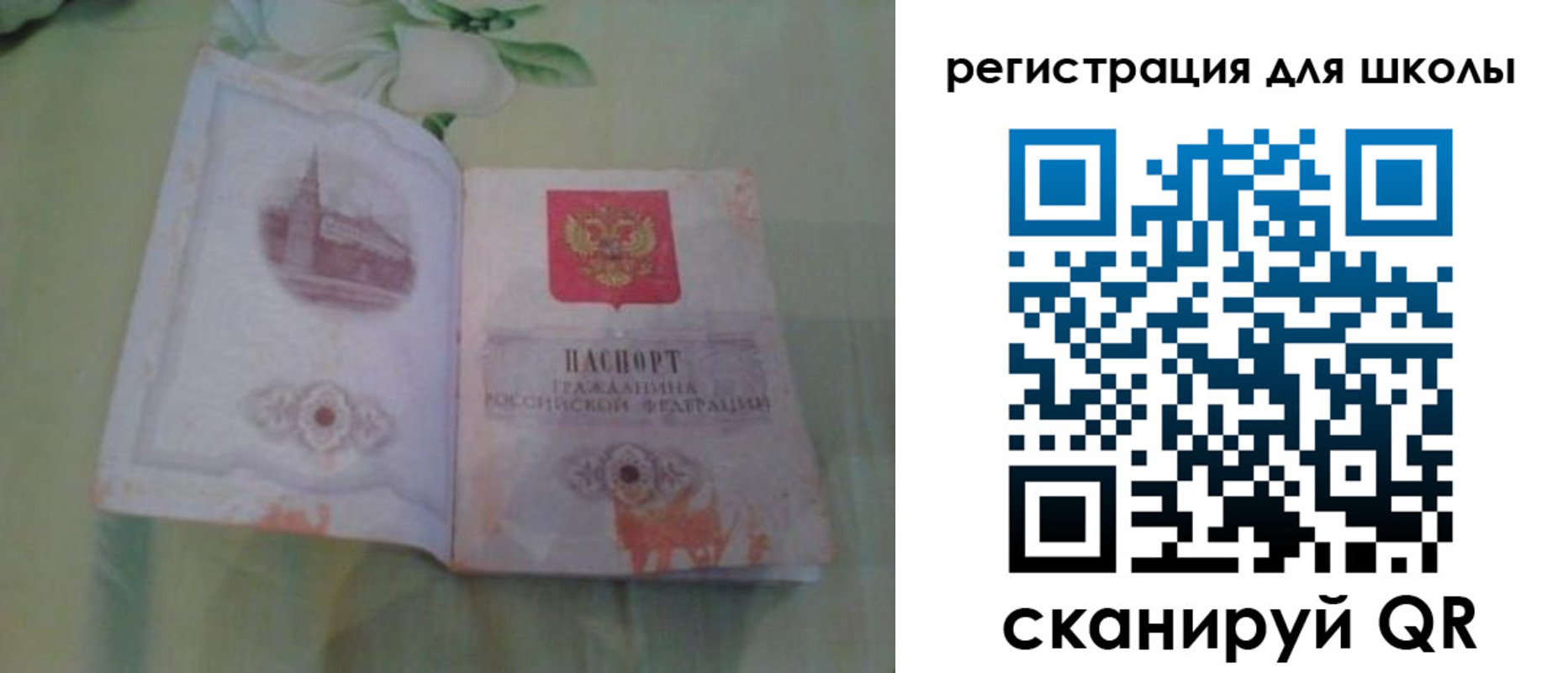временная регистрация поиск в Курске